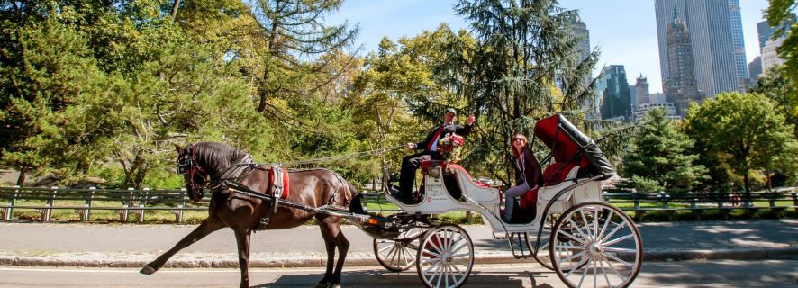 Central Park: Private Horse-Drawn Carriage Tour