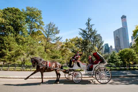 Central Park: Private Horse-Drawn Carriage Tour