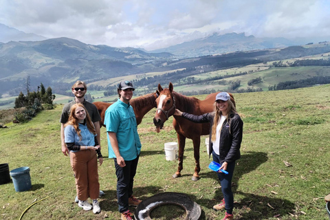Ein Tag mit geretteten Pferden – Pferdetherapie