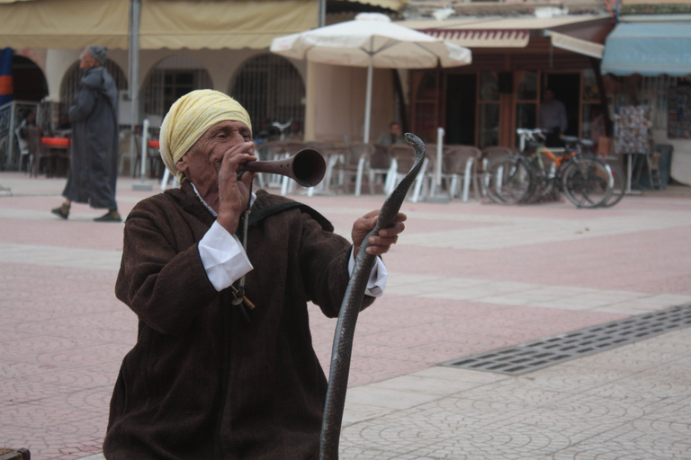 Gita all&#039;oasi di Taroudant e Tiout con pranzo