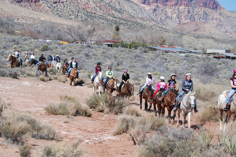 From Las Vegas: Maverick Ranch Breakfast and Horseback Ride Standard Option