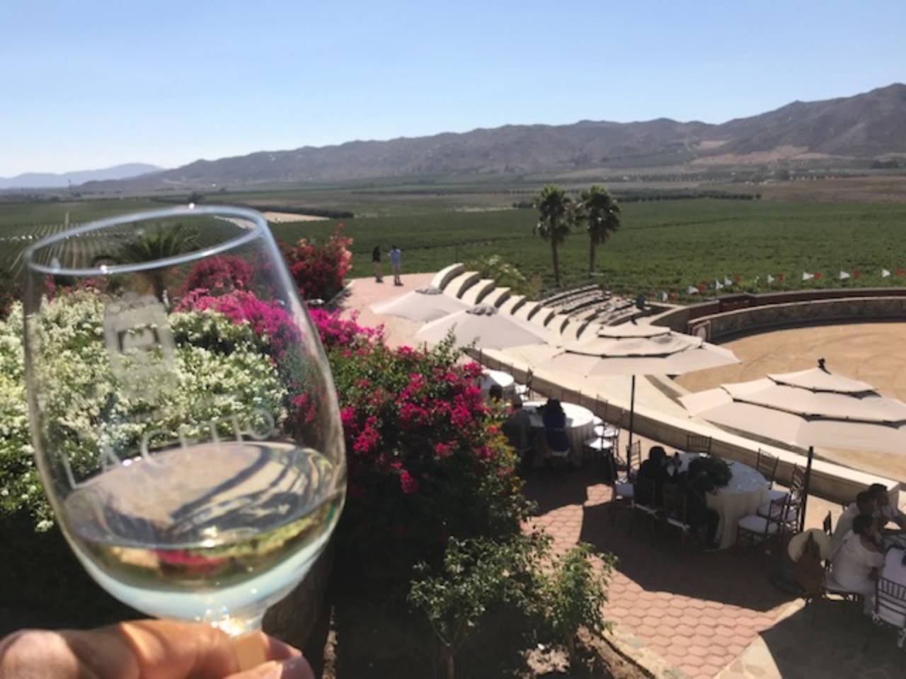 Von Tijuana aus: Valle de Guadalupe Private Winery Tour