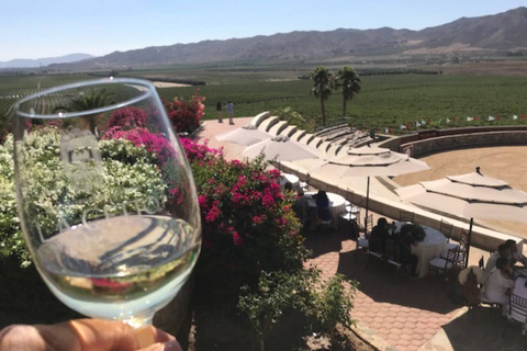 From Tijuana: Valle de Guadalupe Private Winery Tour