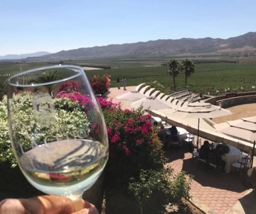 Von Tijuana aus: Valle de Guadalupe Private Winery Tour
