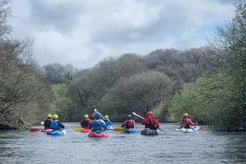 Kinsale: Kayak Tour with Guide and Equipment - Image 3