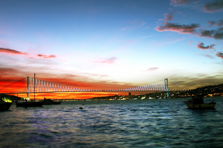 Istanbul : dîner-croisière sur le Bosphore et divertissementDîner-croisière sur le Bosphore, sodas et spectacle