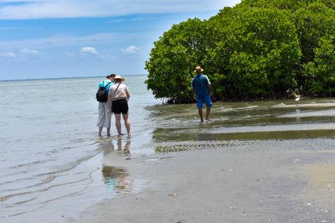 Negombo: Lagoon Boat Tour with hotel transfers & fruit snak