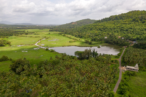 Norte de Goa: Aldeia de Mulgao e experiência de cultivo de cocos