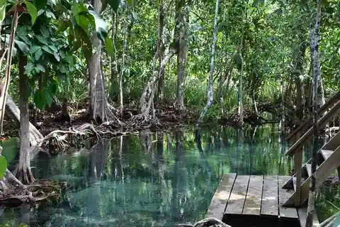 Krabi: Kayaking Tour to Ao Thueak Lagoon with Lunch
