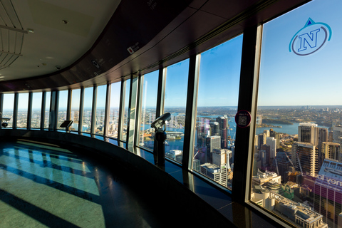 Sydney Tower Eye: Eingang mit AussichtsplattformSydney Tower Eye - Buchung für heute