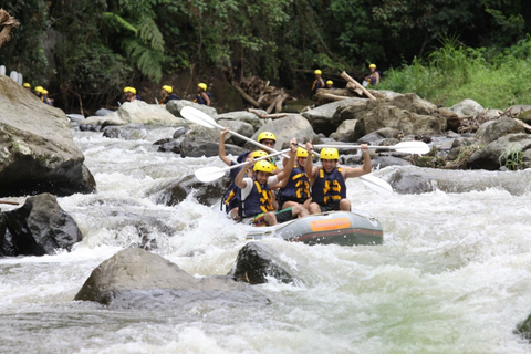 Bali: Mountain Bike Tour och River Rafting med lunch