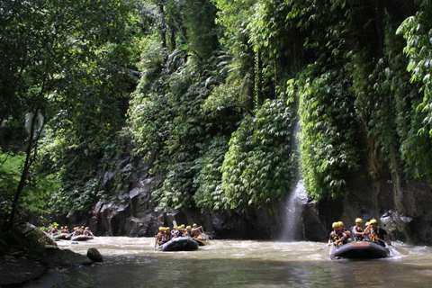 Bali: Mountain Bike Tour och River Rafting med lunch