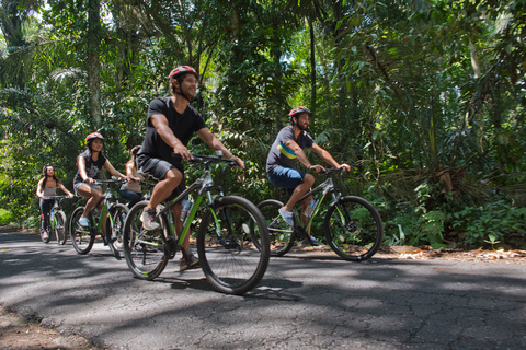 Bali: Mountain Bike Tour och River Rafting med lunch