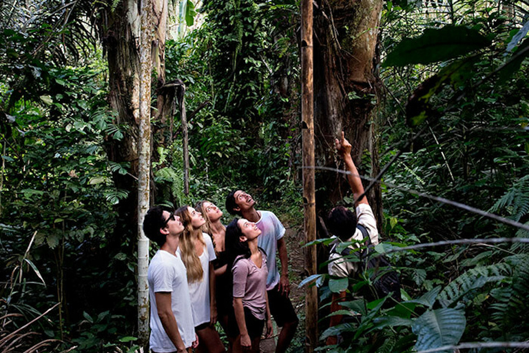 Bali: Djungelvandring och forsränning med lunch