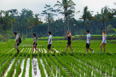 Bali: Djungelvandring och forsränning med lunch