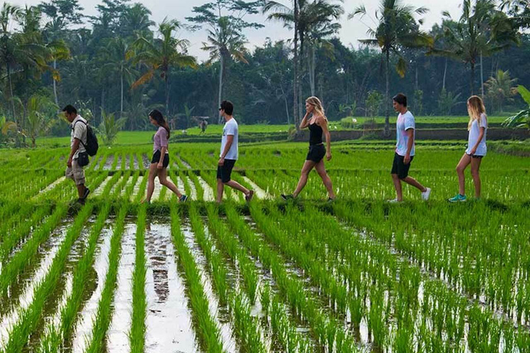 Bali: Djungelvandring och forsränning med lunch