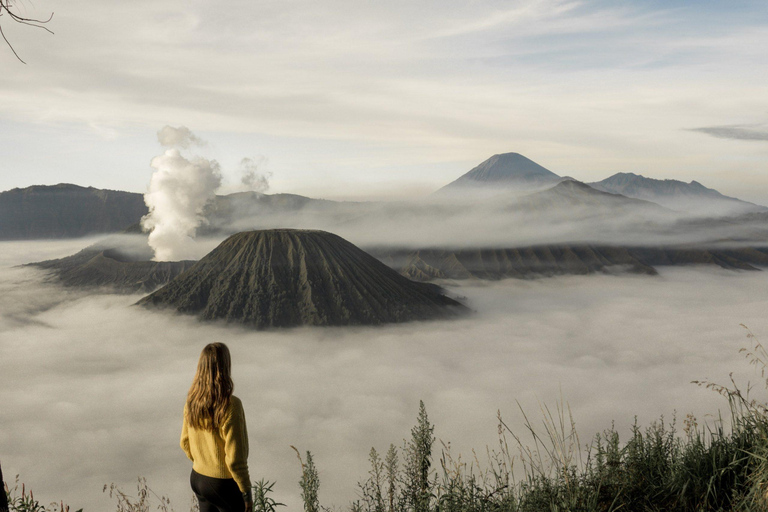 Yogyakarta/Semarang: Bromo & Ijen Volcano 3-Day Adventure Yogyakarta or Semarang Standard package
