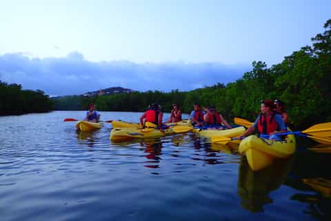 St. Thomas: Night Kayak in the Lagoon