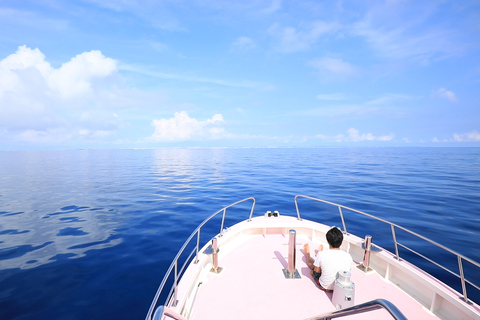 冲绳那霸：庆良间群岛半日观鲸之旅半日观鲸之旅（含酒店接送服务）