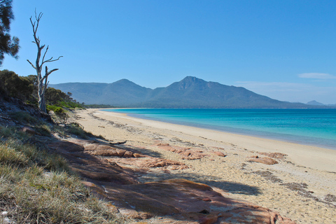 Hobart: Wineglass Bay Beach Iconic Hike