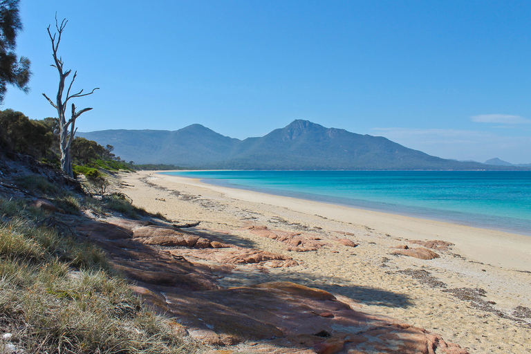 Hobart: Wineglass Bay Beach Iconic Hike