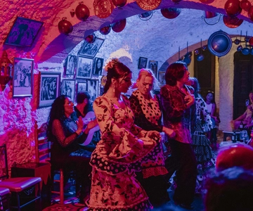 Granada: Los Amayas Cave Traditional Flamenco Show