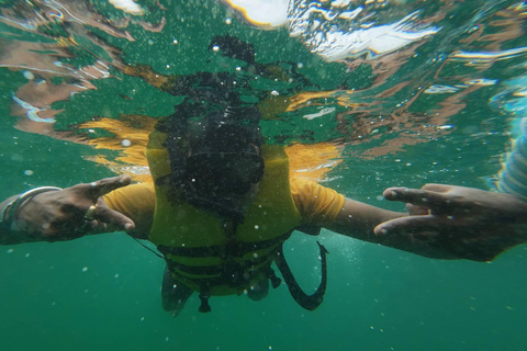 Från Pattaya: Korallöns havsäventyrsresa