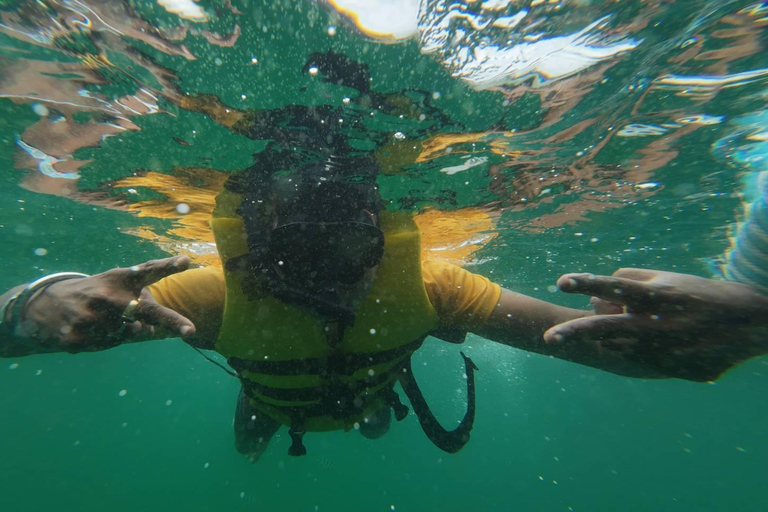 Från Pattaya: Korallöns havsäventyrsresa