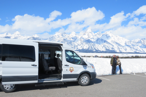 Grand Teton National Park: Wildlife Tour and Sleigh Ride Full-Day Winter Tour with Sleigh Ride