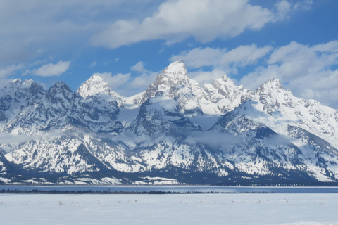 Grand Teton National Park: Wildlife Tour and Sleigh Ride Full-Day Winter Tour with Sleigh Ride