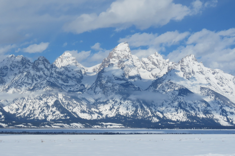 Grand Teton National Park: Wildlife Tour and Sleigh Ride Full-Day Winter Tour with Sleigh Ride