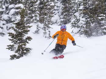 Ab Jackson: Grand Targhee Resort Hin- und Rückfahrt mit dem Skibus Ab Jackson: Grand Targhee Resort Hin- und Rückfahrt mit dem Skibus