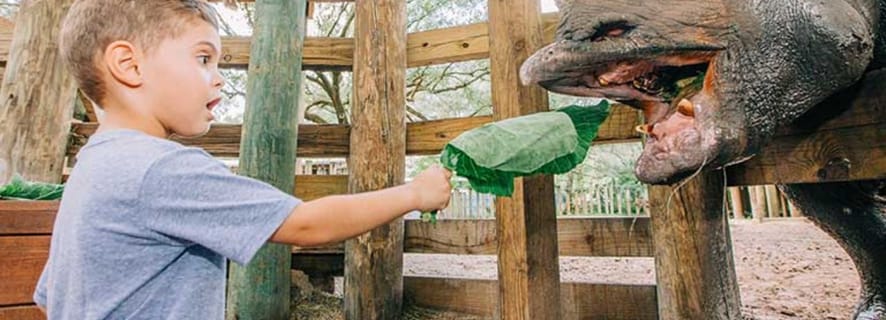 Tampa: ZooTampa at Lowry Park Entry Ticket