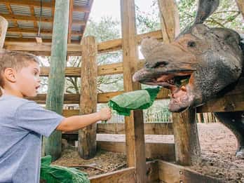 Tampa: ZooTampa im Lowry Park Ticket ohne Anstehen Tampa: ZooTampa im Lowry Park Ticket ohne Anstehen