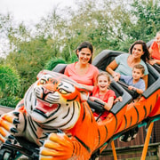 Tampa: ZooTampa At Lowry Park Entry Ticket | GetYourGuide