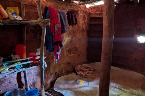 桑给巴尔：马赛村庄之旅和泻湖海龟游泳