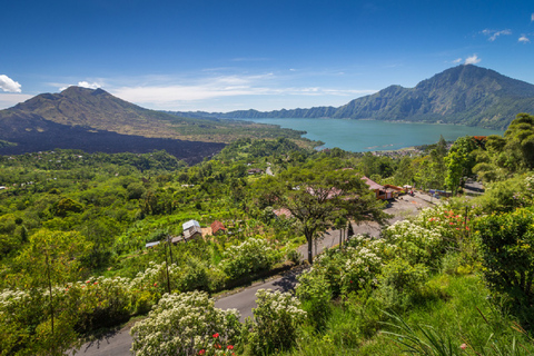 Bali: Privater Autocharter mit FahrerEnglischsprachiger Fahrer