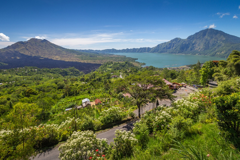 Bali: Privater Autocharter mit FahrerEnglischsprachiger Fahrer