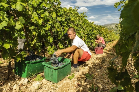 Van Split / Trogir: Krka National Park & Wine Tasting Tour