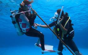 Naha, Okinawa: Kerama Islands Full-Day Intro-Diving Trip