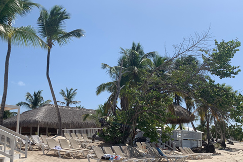 Desde Punta Cana: natación, navegación a vela y esnórquel en la isla CatalinaTour de snorkel