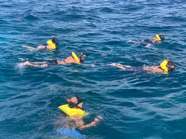 From Punta Cana Catalina Island Swim, Sail & Snorkel GetYourGuide