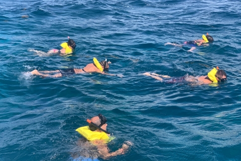 Von Punta Cana aus: Catalina Island Schwimmen, Segeln & SchnorchelnSchnorcheltour