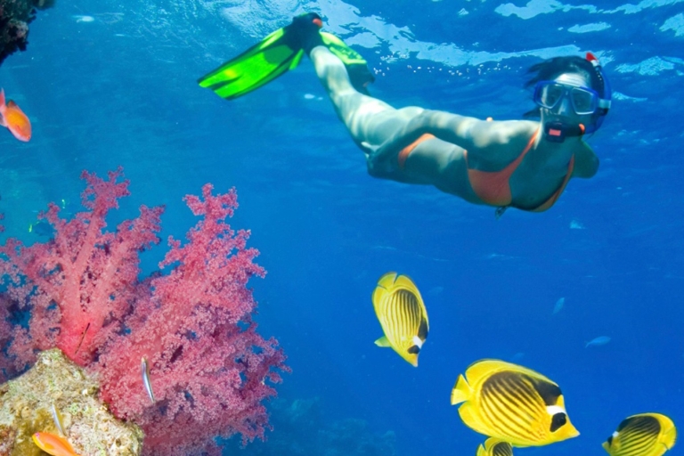 Von Punta Cana aus: Catalina Island Schwimmen, Segeln & SchnorchelnSchnorcheltour