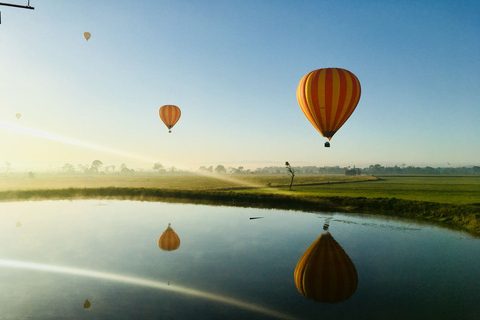 Brisbane: Volo in mongolfiera con colazione in vignaBrisbane: volo in mongolfiera con colazione nel vigneto