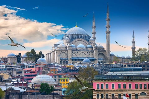 Istanbul : visite privée et personnalisée 1 ou 2 joursVisite d'une journée en anglais, français ou allemand
