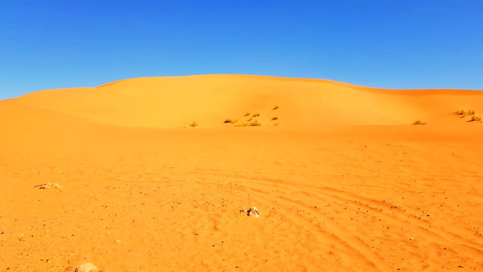 Dniowa Wycieczka Na Pustyni Zagora Z Zachodem S O Ca Z Marrakeszu