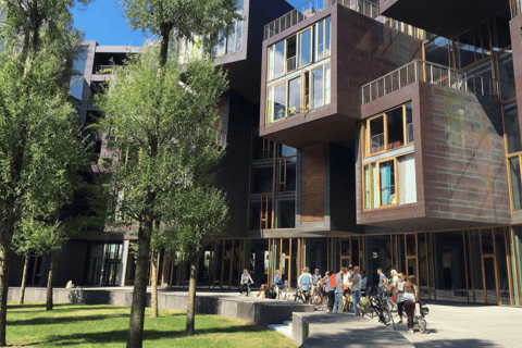 Copenhagen Architecture: 3-Hour Expert-Led Bike Tour Private Tour - EN/FR/ES/IT - 3 hours