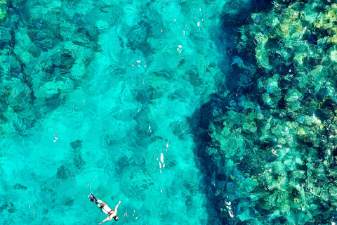 Budva: Snorkeling Boat Trip to Hidden Reefs & Tunnels⁠