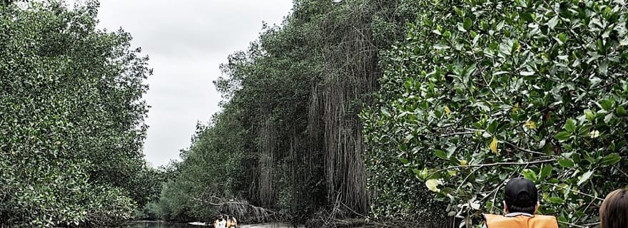 De Mancora : Sanctuaire national des mangroves - Tumbes